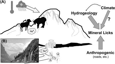 Species conflict at Earth’s edges – Contests, climate, and coveted resources